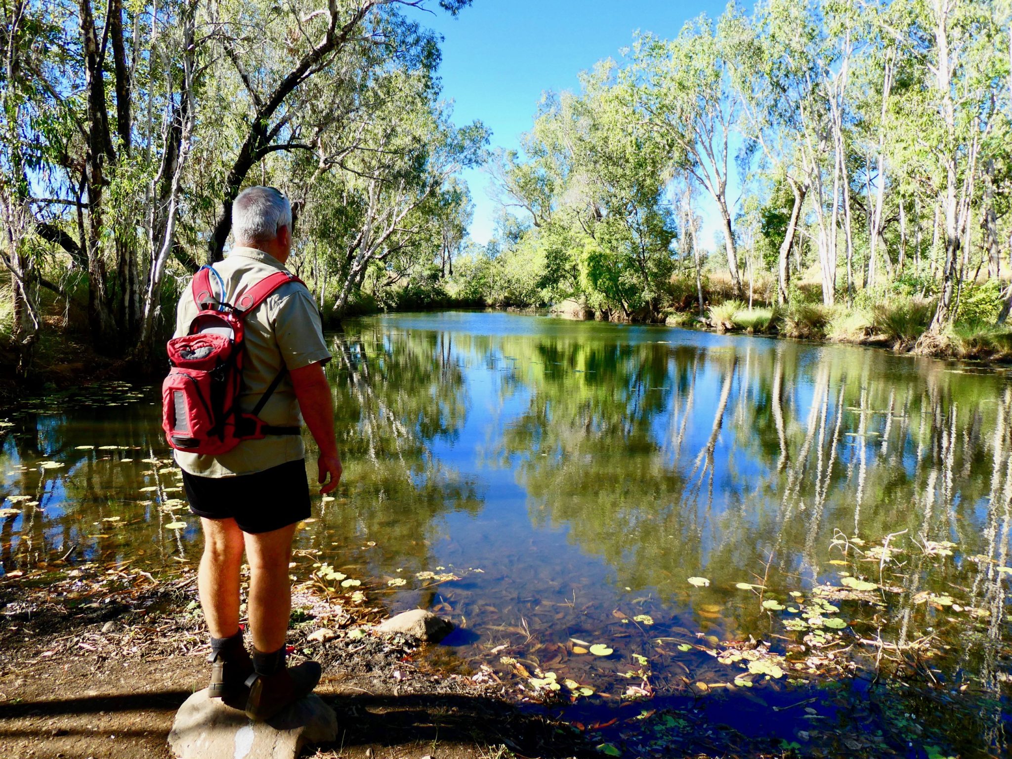 Mt Hart Wilderness Lodge