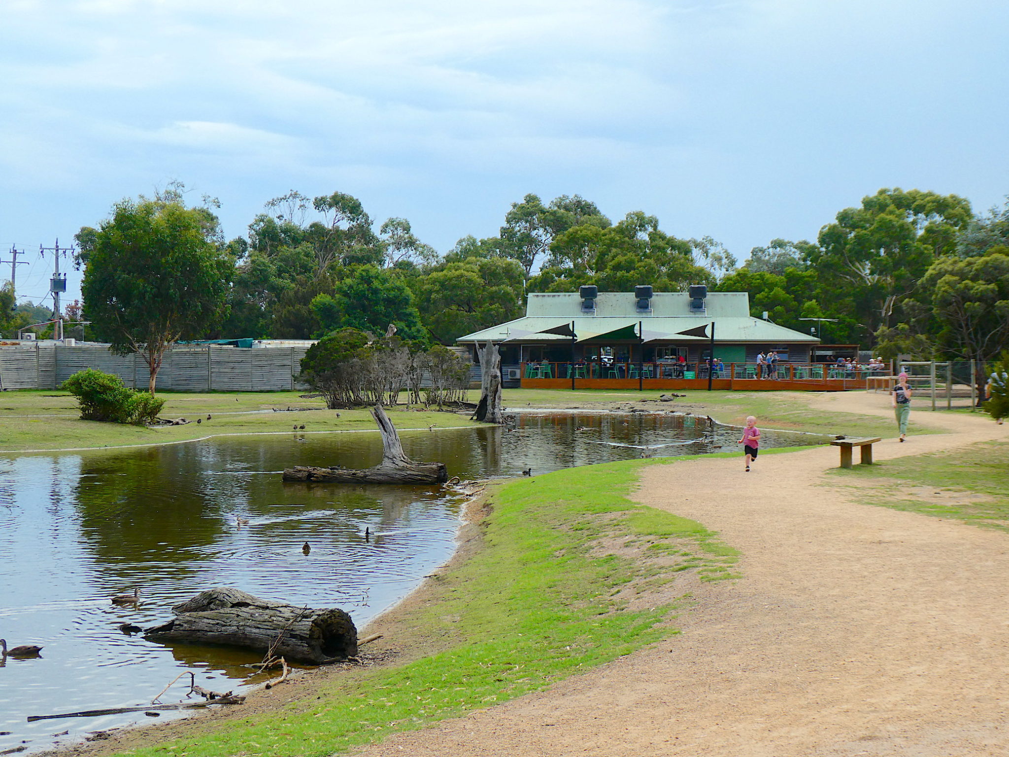 moonlit-sanctuary-wildlife-conservation-park-my-aussie-travel-guide