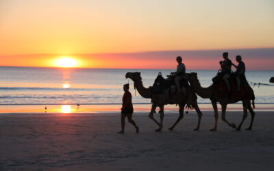 WA – Broome & Surrounds