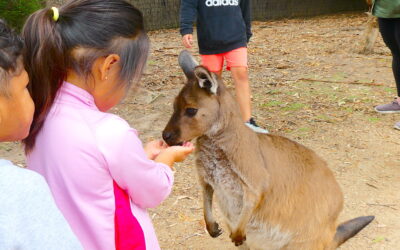 Moonlit Sanctuary Wildlife Conservation Park